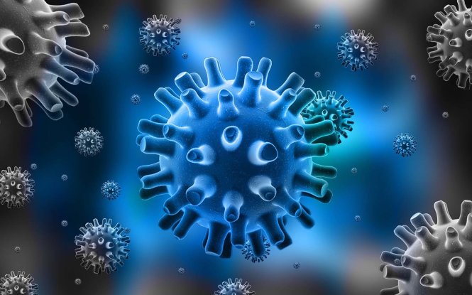Lở Miệng Do Vi Rút Herpes: Nguyên Nhân, Triệu Chứng Và Cách Điều Trị Hiệu Quả 6 Virus Herpet