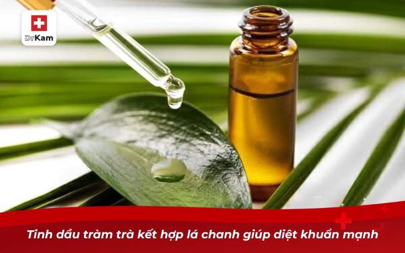 Tinh dầu tràm trà kết hợp lá chanh giúp diệt khuẩn mạnh