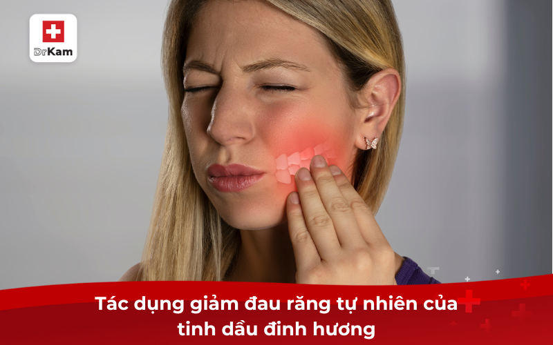 Công dụng và cách sử dụng tinh dầu đinh hương hiệu quả 4 Tác dụng giảm đau răng tự nhiên của tinh dầu đinh hương