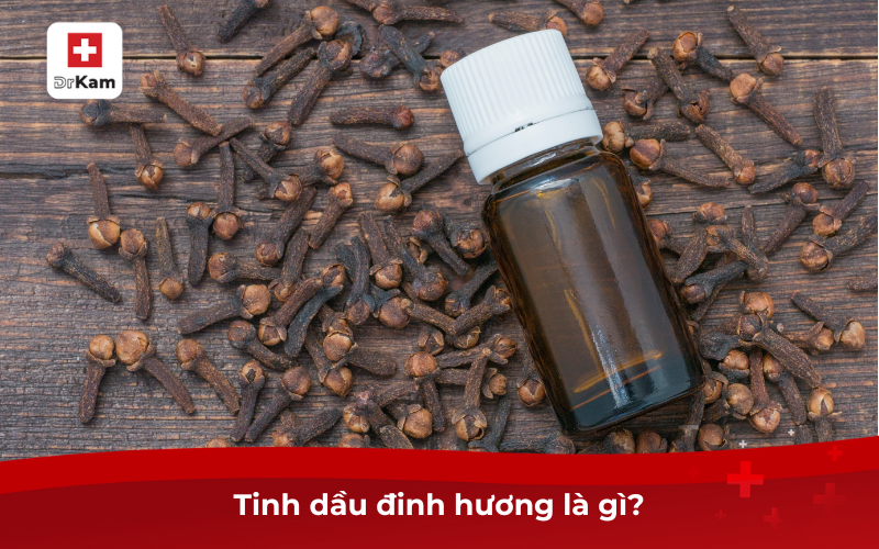Công dụng và cách sử dụng tinh dầu đinh hương hiệu quả 2 Tinh dầu đinh hương là gì?