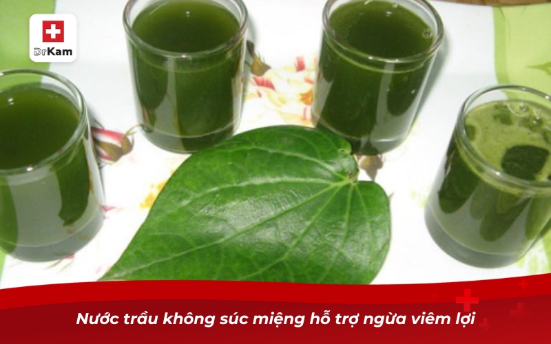 Nước trầu không súc miệng hỗ trợ ngừa viêm lợi