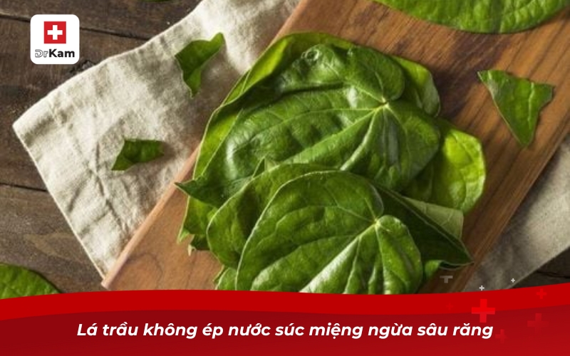 Lá trầu không ép nước súc miệng ngừa sâu răng