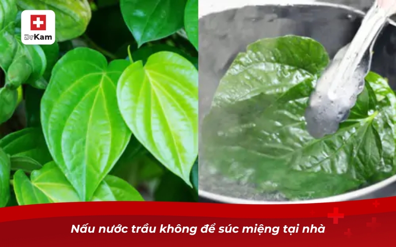 Nấu nước trầu không để súc miệng tại nhà