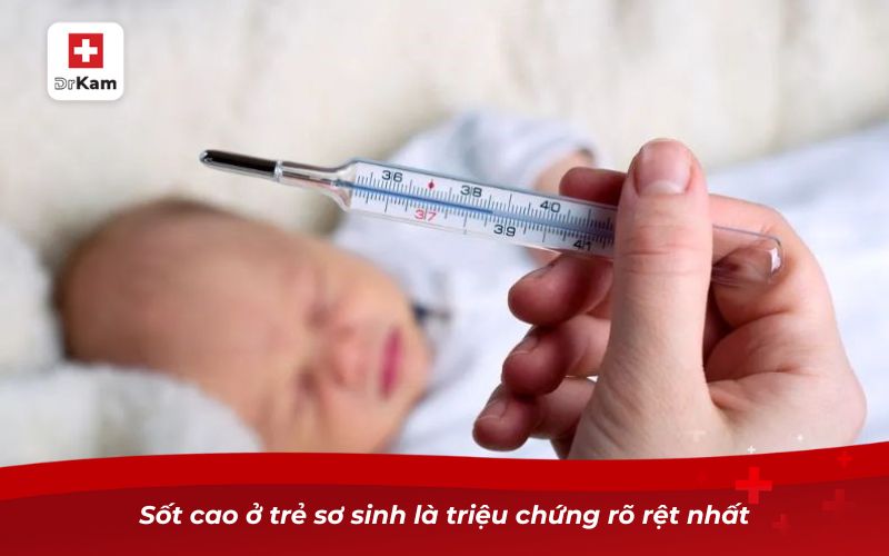 Sốt cao ở trẻ sơ sinh là triệu chứng rõ rệt nhất