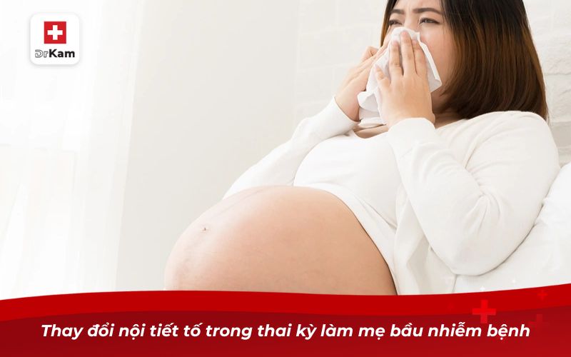 Thay đổi nội tiết tố trong thai kỳ làm mẹ bầu nhiễm bệnh