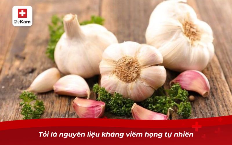 10 cách chữa viêm amidan hốc mủ tại nhà an toàn, hiệu quả 4 Tỏi là nguyên liệu kháng viêm họng tự nhiên