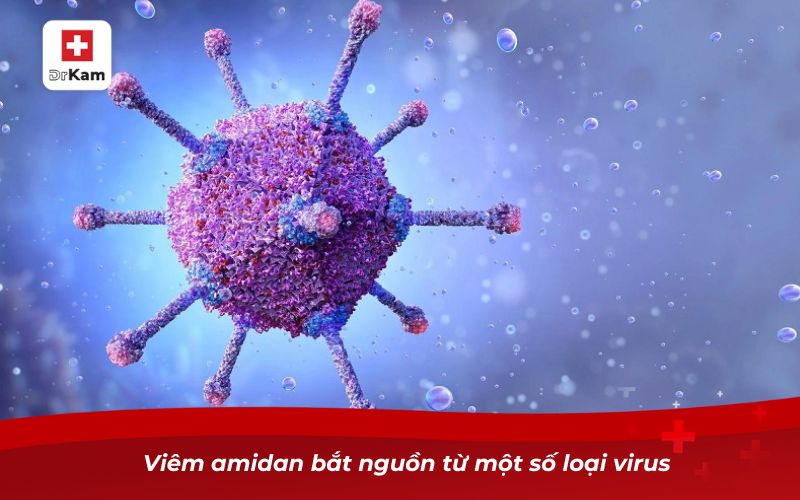 Nguyên nhân viêm amidan và cách phòng tránh hiệu quả 3 Viêm amidan bắt nguồn từ một số loại virus