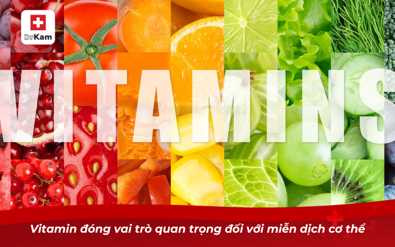 Vitamin đóng vai trò quan trọng đối với miễn dịch cơ thể