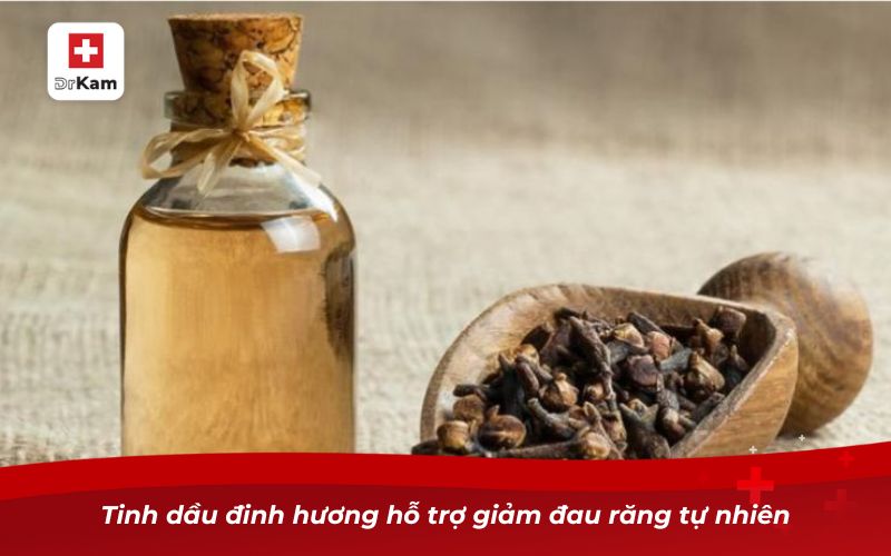 Tinh dầu đinh hương hỗ trợ giảm đau răng tự nhiên