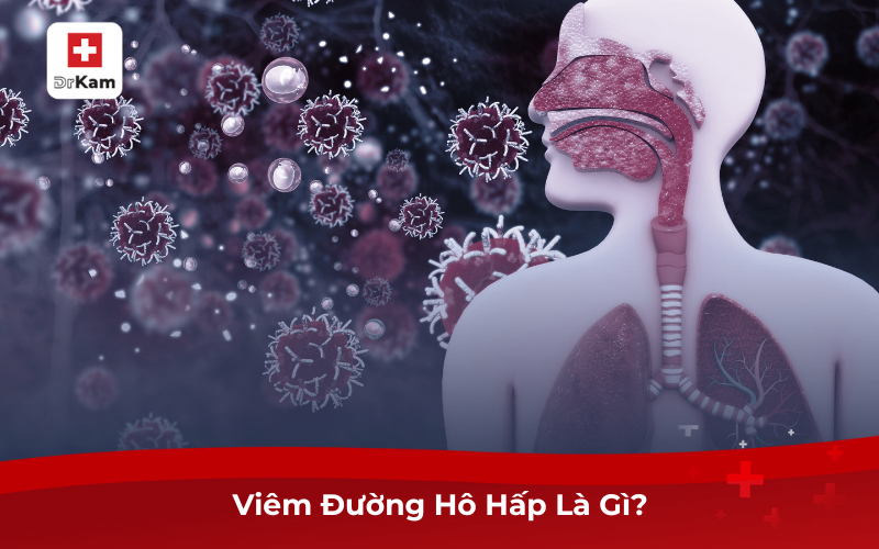 Viêm Đường Hô Hấp Là Gì?