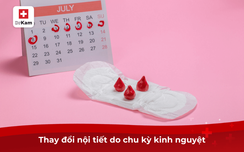 Tự nhiên mụn mọc quanh miệng là dấu hiệu của bệnh gì 4 Thay đổi nội tiết do chu kỳ kinh nguyệt