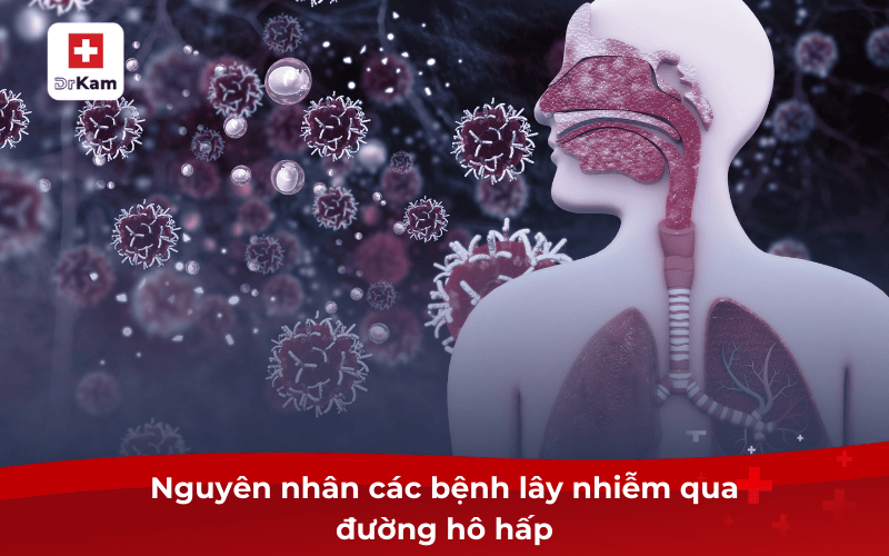 CÁC BỆNH ĐƯỜNG HÔ HẤP THƯỜNG GẶP BAO GỒM VIÊM PHỔI HEN SUYỄN VÀ VIÊM PHẾ QUẢN