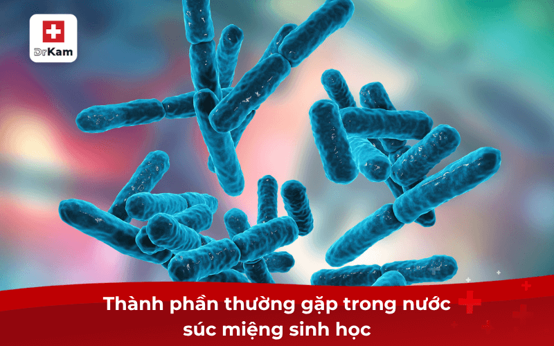 Nước súc miệng sinh học là gì? Có công dụng như thế nào? 3 Thành phần thường gặp trong nước súc miệng sinh học