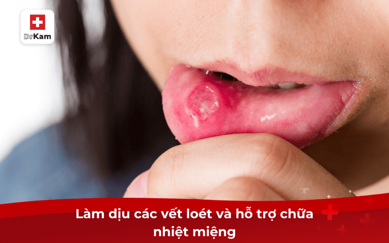 Làm dịu các vết loét và hỗ trợ chữa nhiệt miệng