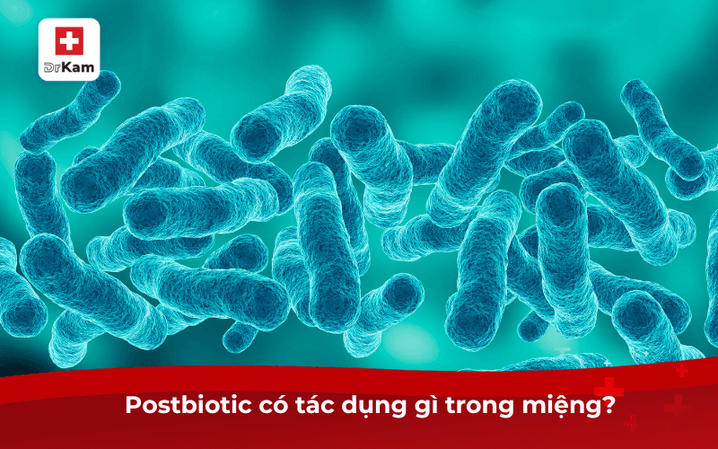 Postbiotic có tác dụng gì trong miệng? 