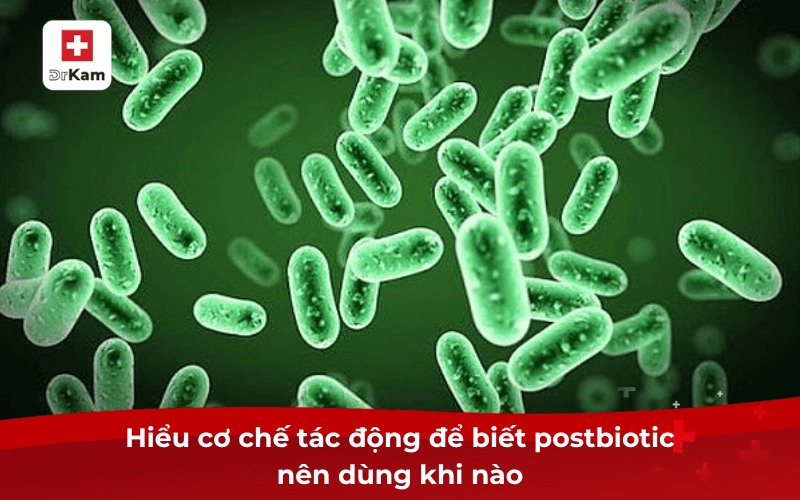 Hiểu cơ chế tác động để biết postbiotic nên dùng khi nào