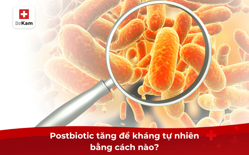 Postbiotic cho miễn dịch tăng đề kháng tự nhiên bằng cách nào?