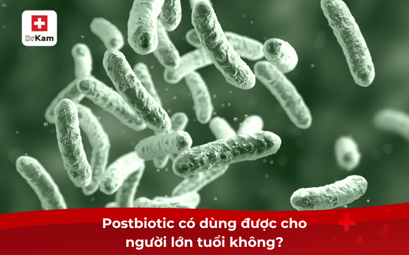Postbiotic có dùng được cho người lớn tuổi không?