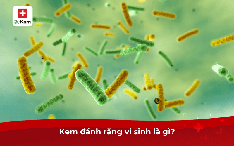 Review kem đánh răng vi sinh hiệu quả an toàn nhất hiện nay 2 Kem đánh răng vi sinh là gì?
