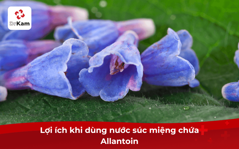 Lợi ích khi dùng nước súc miệng chứa Allantoin