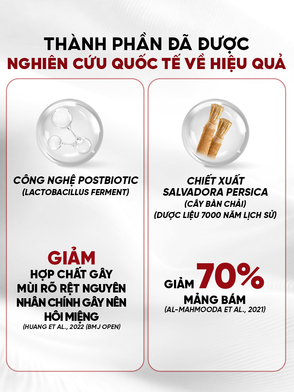 Bộ gel cạo lưỡi sinh học DrKam vị bạc hà 54g 6 Bộ gel cạo lưỡi sinh học DrKam vị bạc hà 54g - Ảnh 6