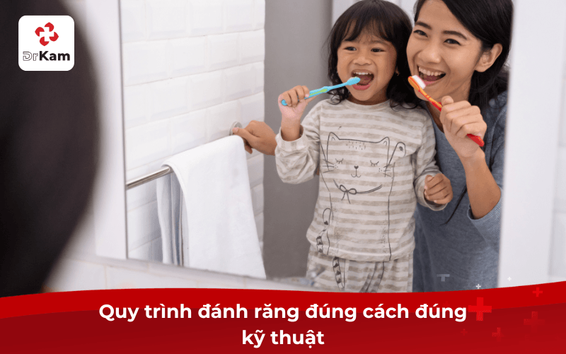 Quy trình đánh răng đúng cách đúng kỹ thuật