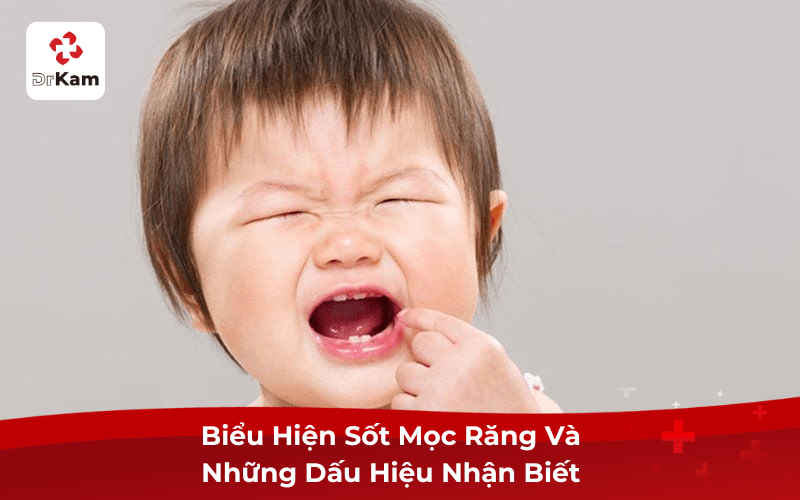 Biểu Hiện Sốt Mọc Răng Và Những Dấu Hiệu Nhận Biết