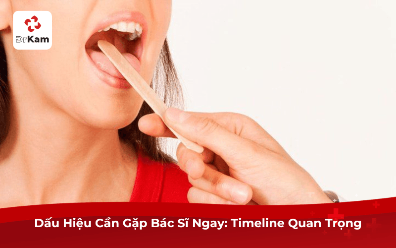 Dấu Hiệu Cần Gặp Bác Sĩ Ngay: Timeline Quan Trọng