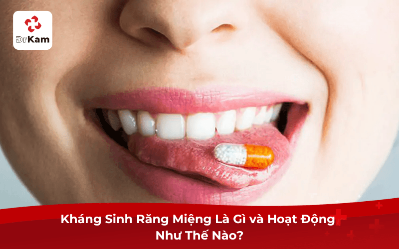 Kháng Sinh Răng Miệng Là Gì và Hoạt Động Như Thế Nào?