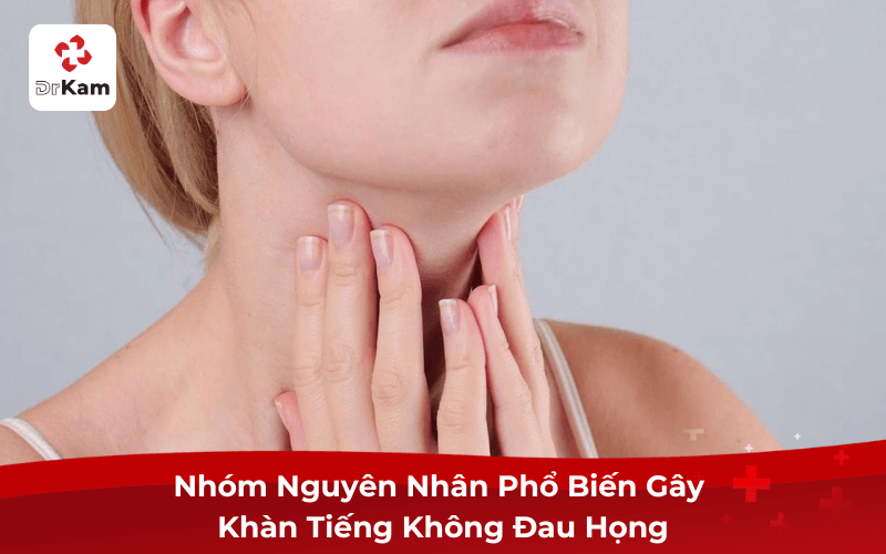 Nhóm Nguyên Nhân Phổ Biến Gây Khàn Tiếng Không Đau Họng