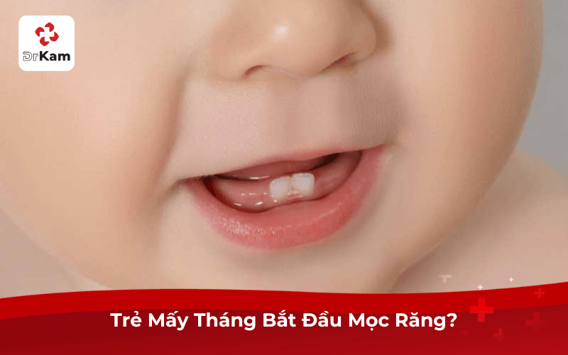 Trẻ Mấy Tháng Bắt Đầu Mọc Răng?