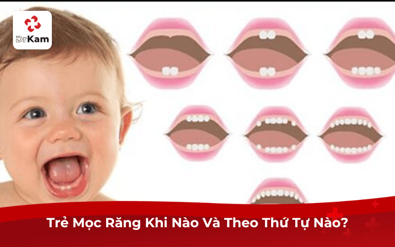 Trẻ Mọc Răng Khi Nào Và Theo Thứ Tự Nào?